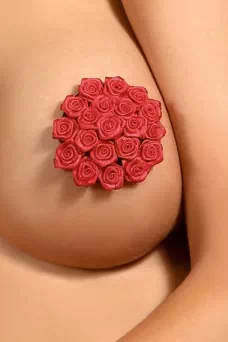 Caches-tétons rouge en forme de bouquet de roses... - détail